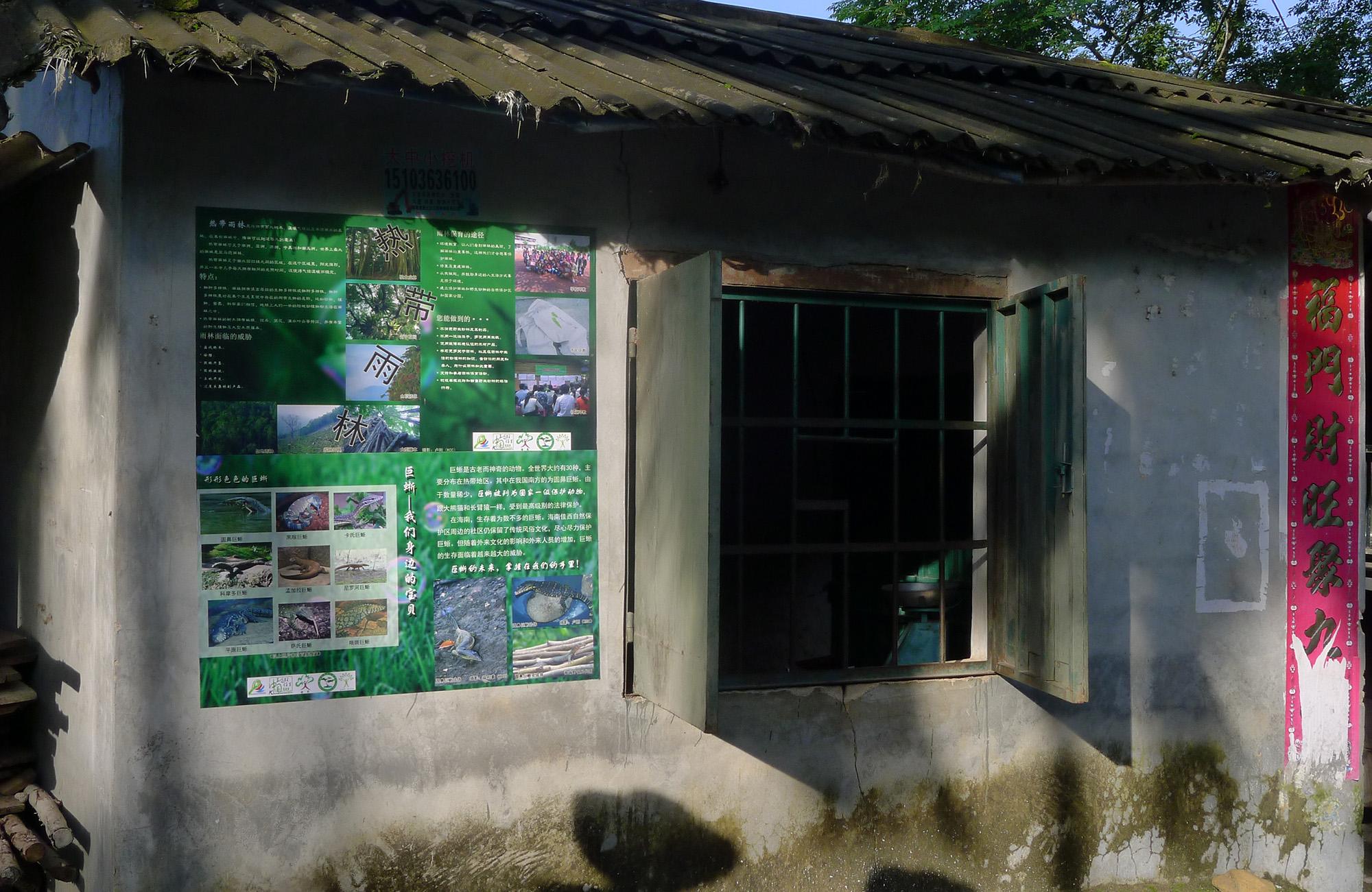 P1210076 Water Monitor Conservation themed Poster in Z village